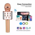 Handheld KTV - WS858 - Wireless Mic - HIFI Speaker